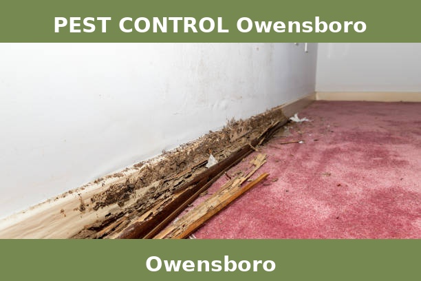 PEST CONTROL Owensboro